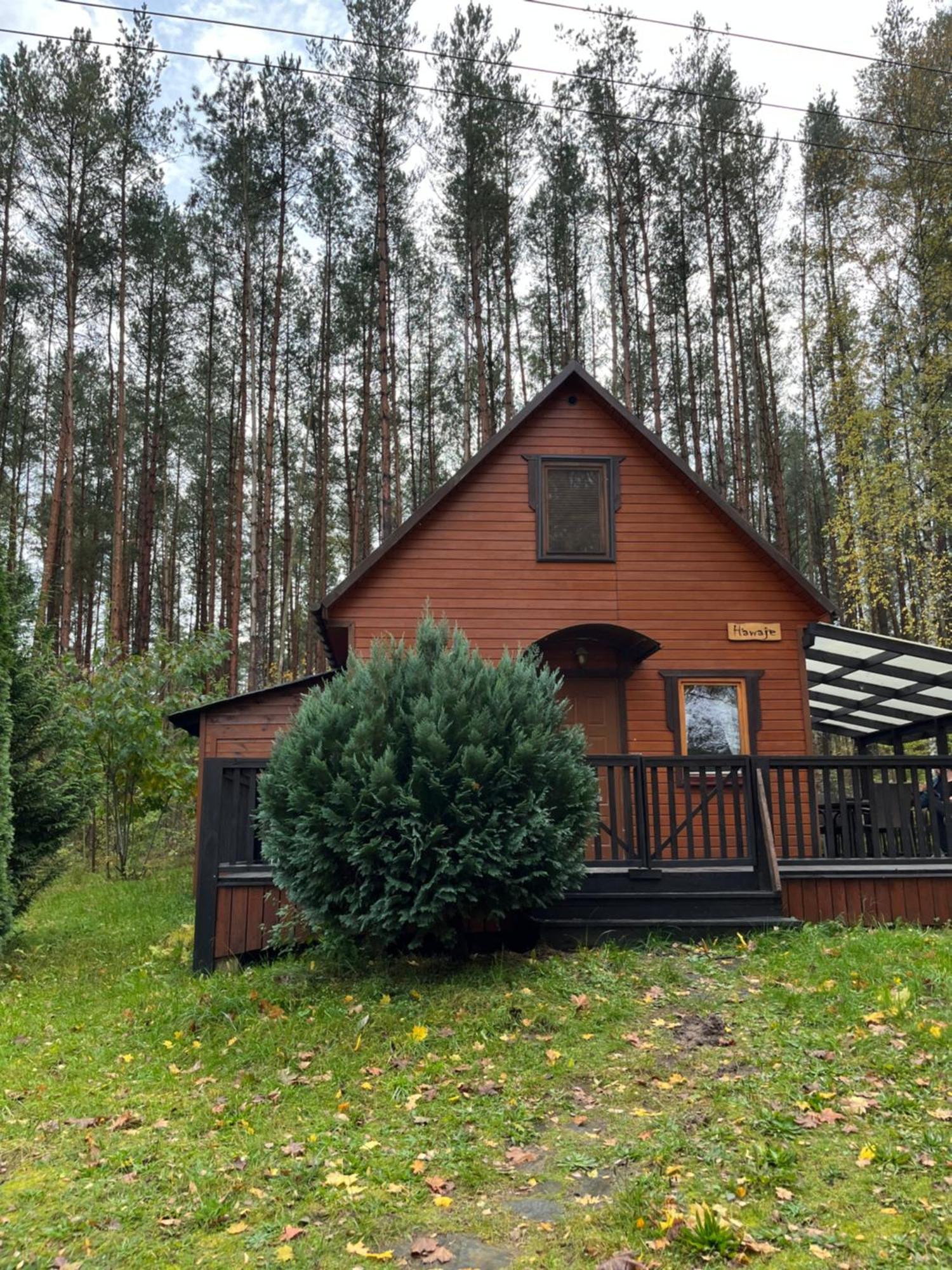 Domek Caloroczny Hawaje Nad Jeziorem Kazub Cieciorka Exterior foto